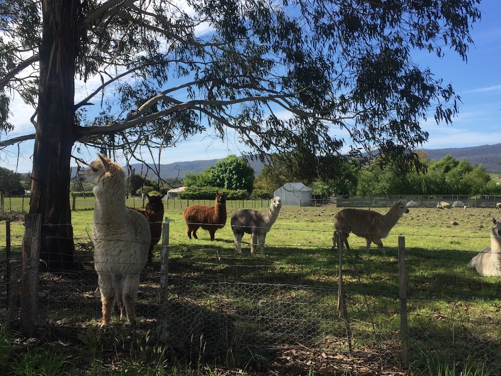 Lavender House Perfumery | 32 Waterton Hall Rd, Rowella TAS 7270, Australia | Phone: 0499 111 745