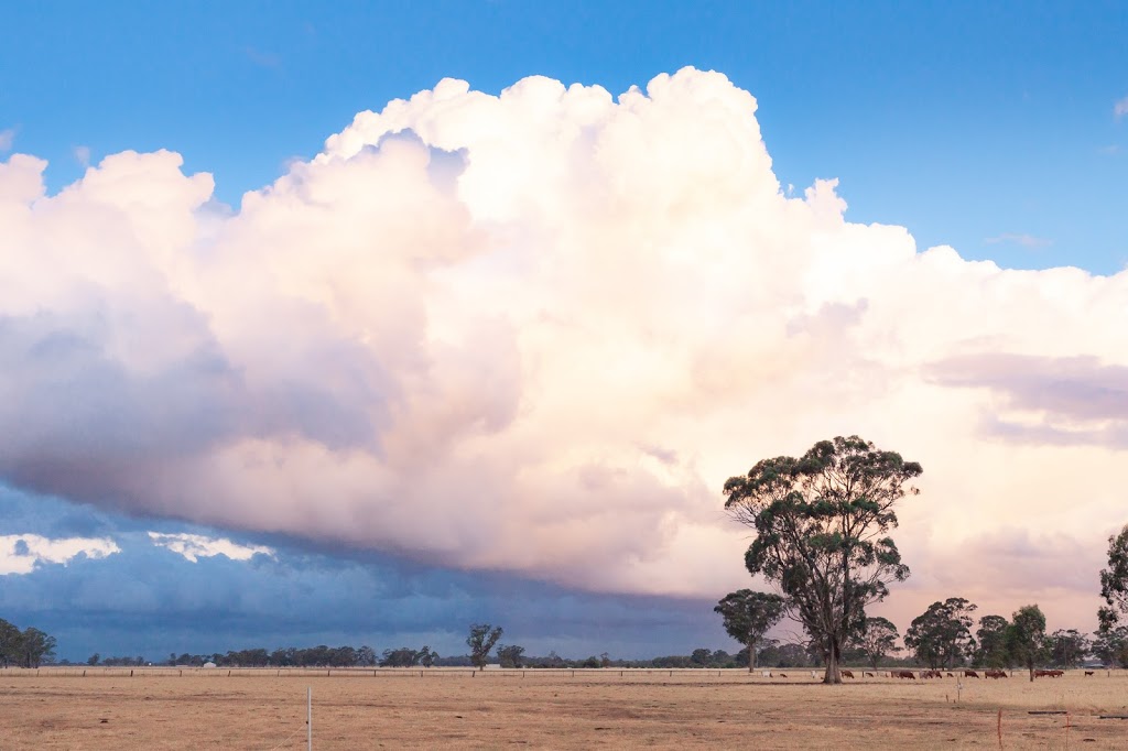 Eden Farm Wellness | 1205 Walshs Bridge Rd, Numurkah VIC 3636, Australia | Phone: 0433 155 554