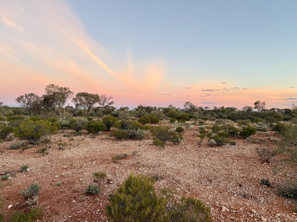 Morapoi Station | Unnamed Road, Kookynie WA 6431, Australia | Phone: 0417 911 485