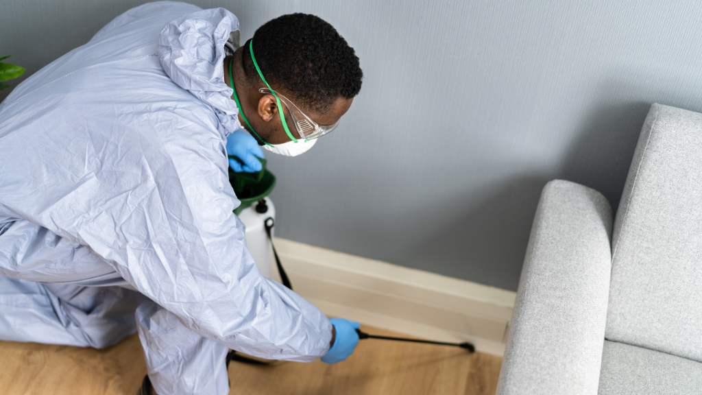 Pest Control Homebush | School Rd, Homebush VIC 3465, Australia | Phone: (03) 8583 2128