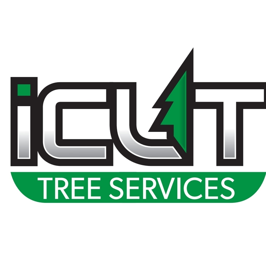 I Cut Tree Services | 18 Rowan Ave, Boronia VIC 3155, Australia | Phone: 0409 906 301