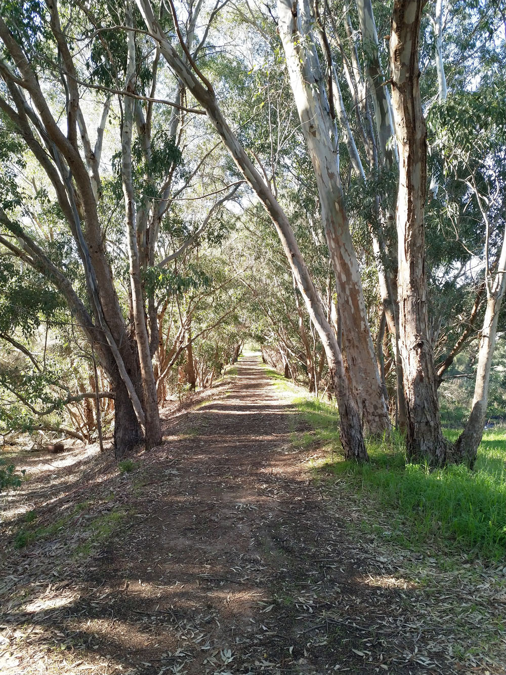 Small Clarry Park | Caversham WA 6055, Australia