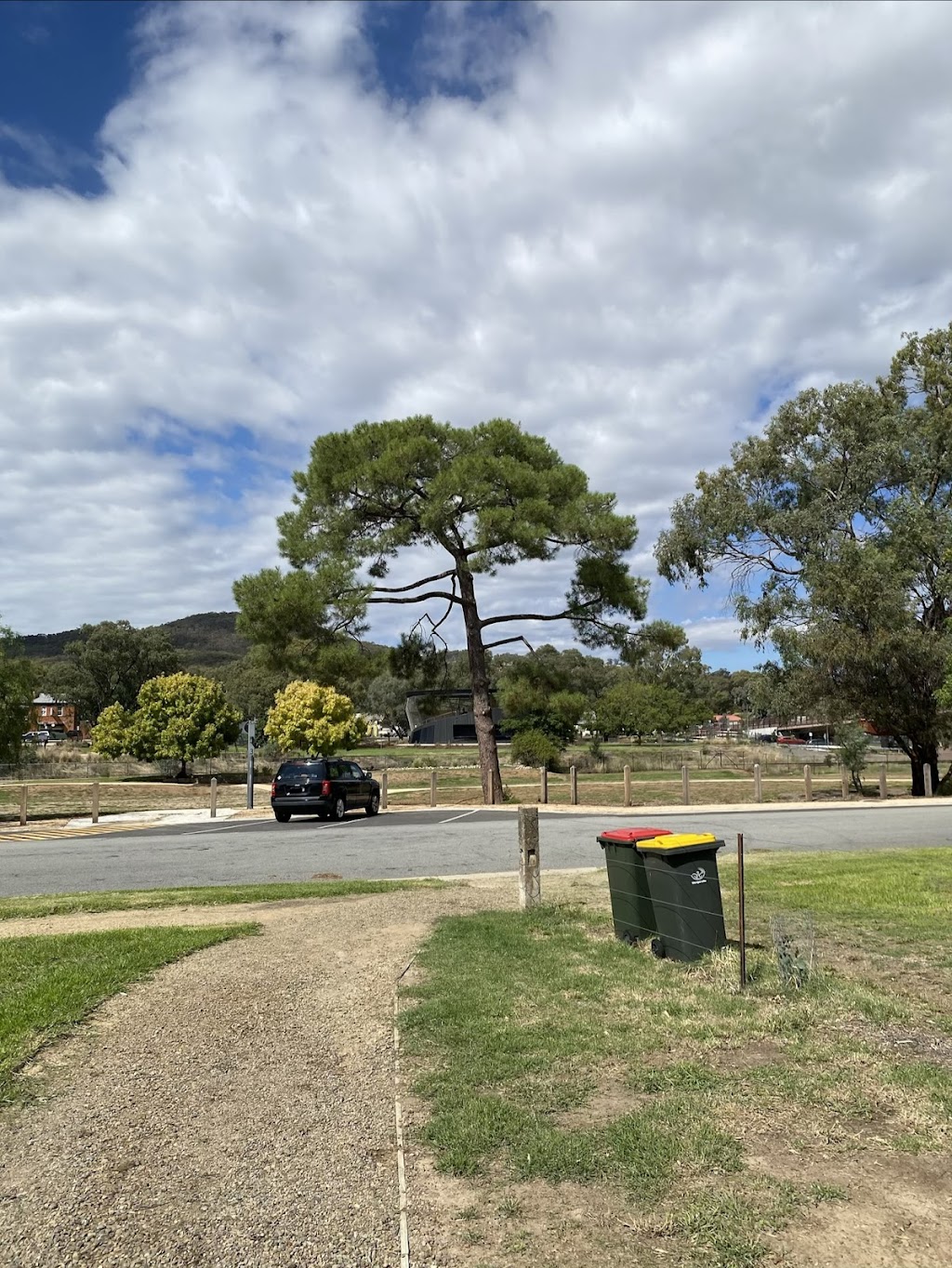 Bruce’s Royal Tree | 16 Siege St, Glenrowan VIC 3675, Australia | Phone: 0493 525 707