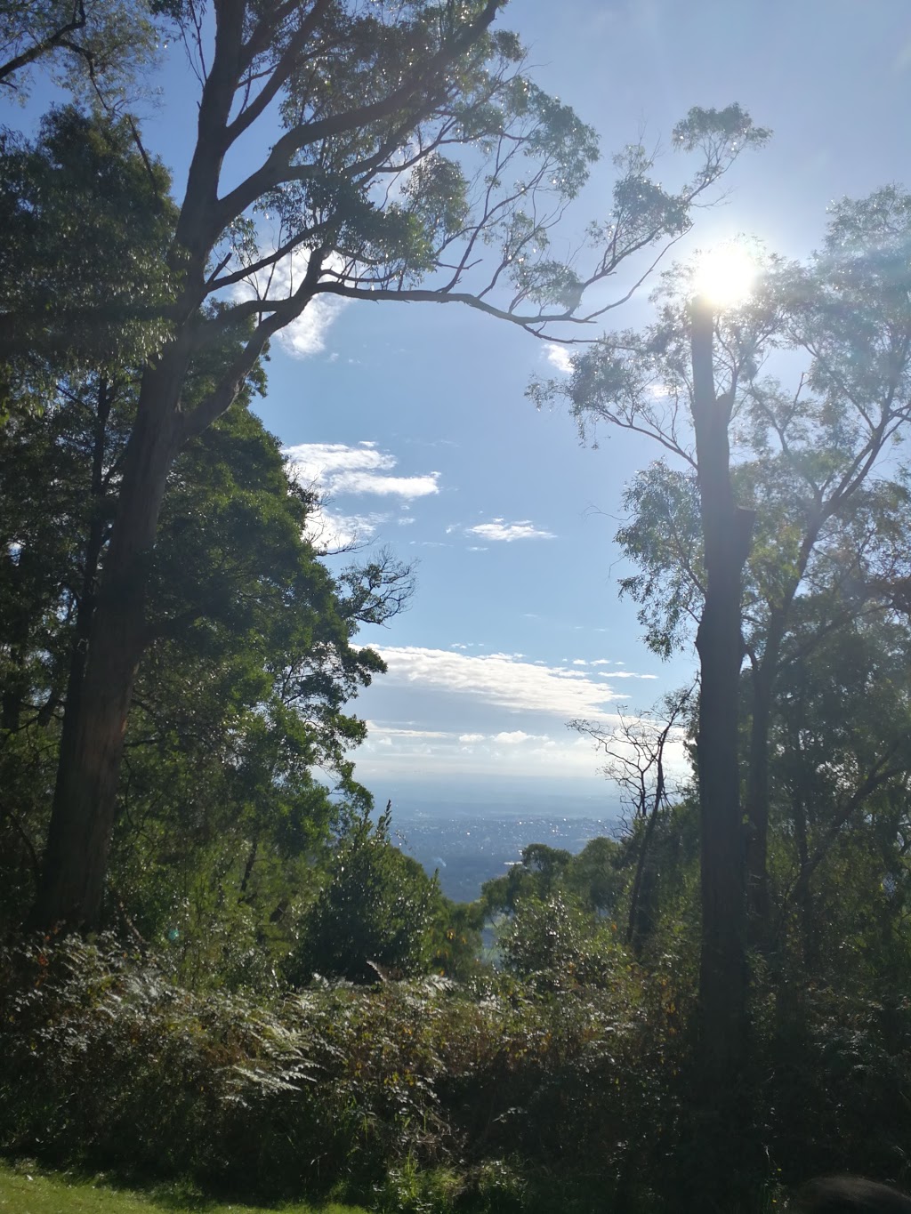 Forest Reserve | park | Kalorama VIC 3766, Australia