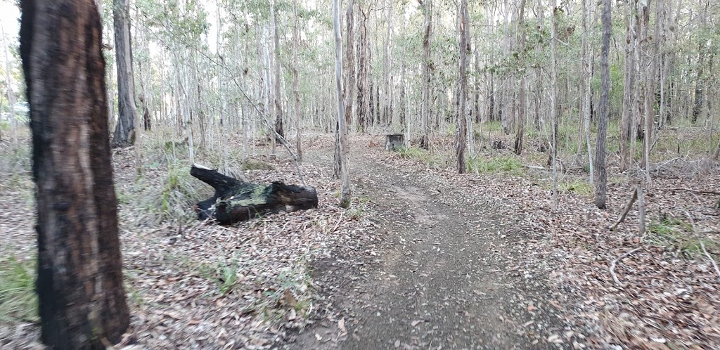 Habitat Springs | Coventina Cres, Springfield Lakes QLD 4300, Australia