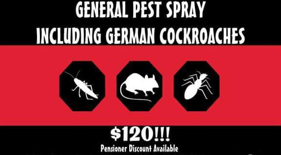 Lakes Pest Control | home goods store | 9 Sturt St, Swansea NSW 2281, Australia | 0458285352 OR +61 458 285 352