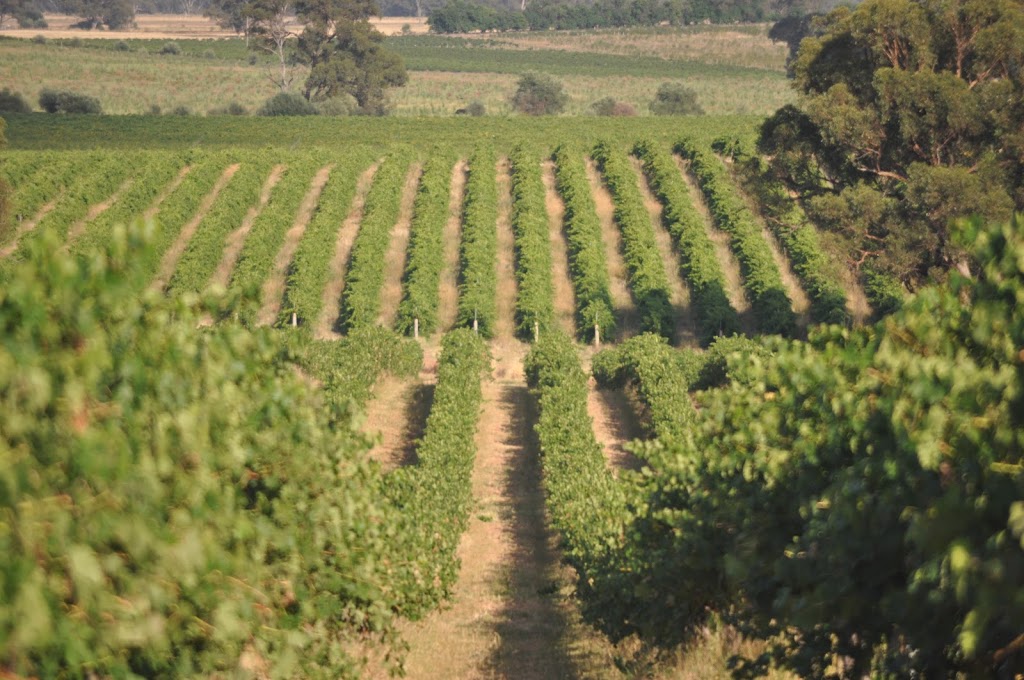 John Gehrig Wines | food | King Valley, 80 Gehrigs Ln, Oxley VIC 3678, Australia | 0357273395 OR +61 3 5727 3395