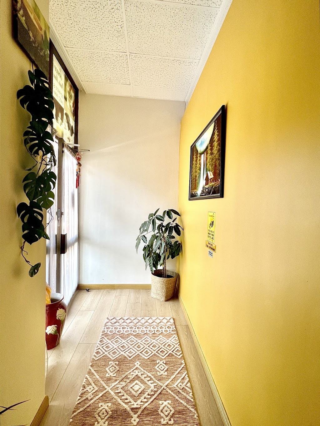 Grace´s Oasis Massage | 5/2 Redman Rd, Dee Why NSW 2099, Australia | Phone: (02) 9971 8853