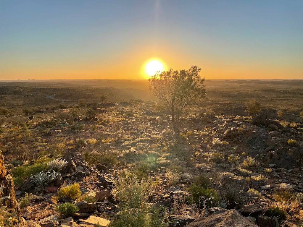 Living Desert State Park | tourist attraction | Nine Mile Rd, Broken Hill NSW 2880, Australia | 0880803560 OR +61 8 8080 3560