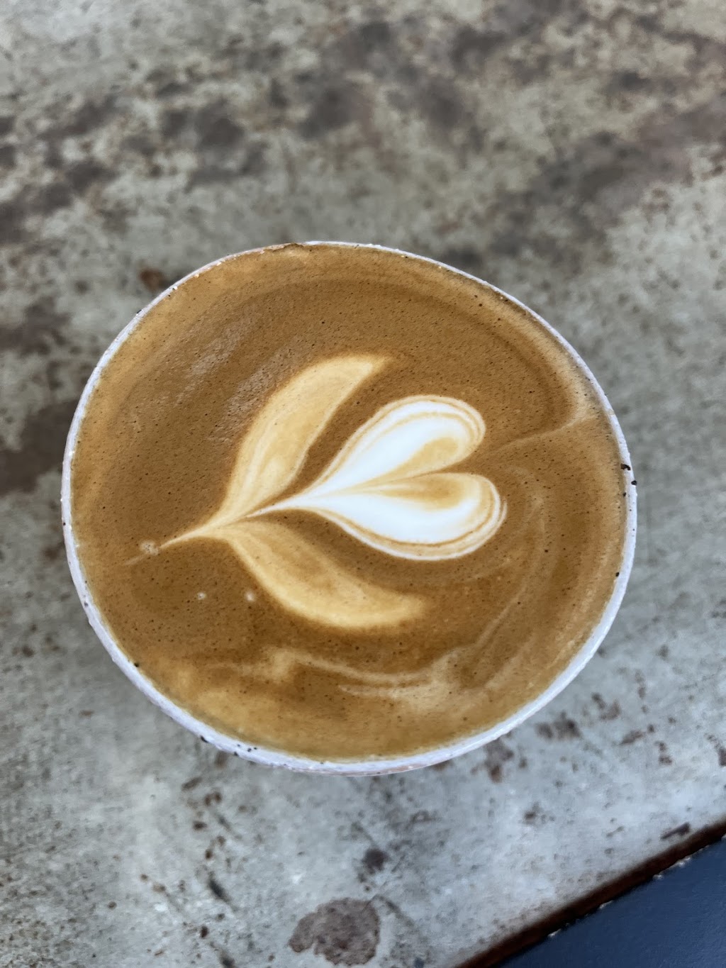 Bun Coffee Byron Bay | 5 Cessna Cres, Ballina NSW 2478, Australia | Phone: 1300 286 263 Bun Coffee Byron Bay | 5 Cessna Cres, Ballina NSW 2478, Australia | Phone: 1300 286 263