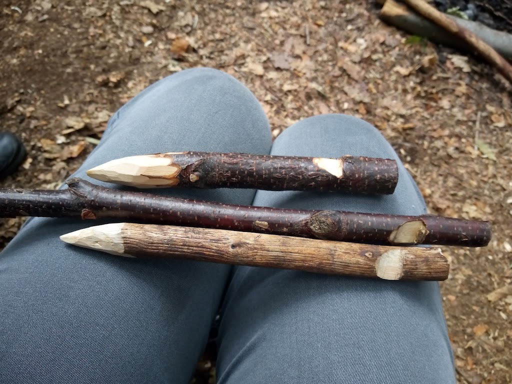 Funky Frog Bush School | 1026 Comboyne Rd, Cedar Party NSW 2429, Australia | Phone: 0404 386 292