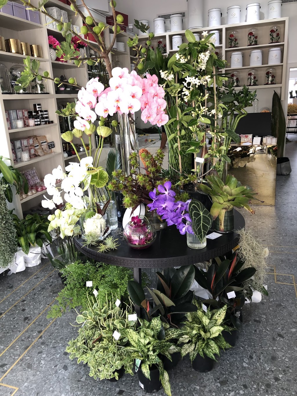 La Mia Rosa | florist | Shop 1/25 Kyle Parade, Kyle Bay NSW 2221, Australia | 0295466599 OR +61 2 9546 6599