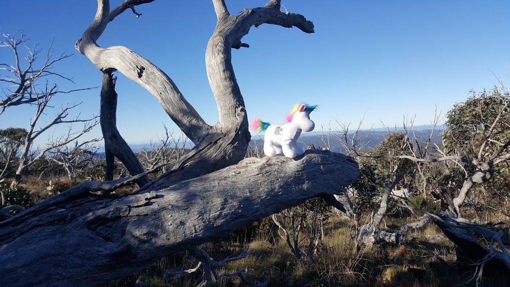 Mount Ginini Aircraft Navigation Station | Mount Ginini Road ACT, Cotter River ACT 2611, Australia