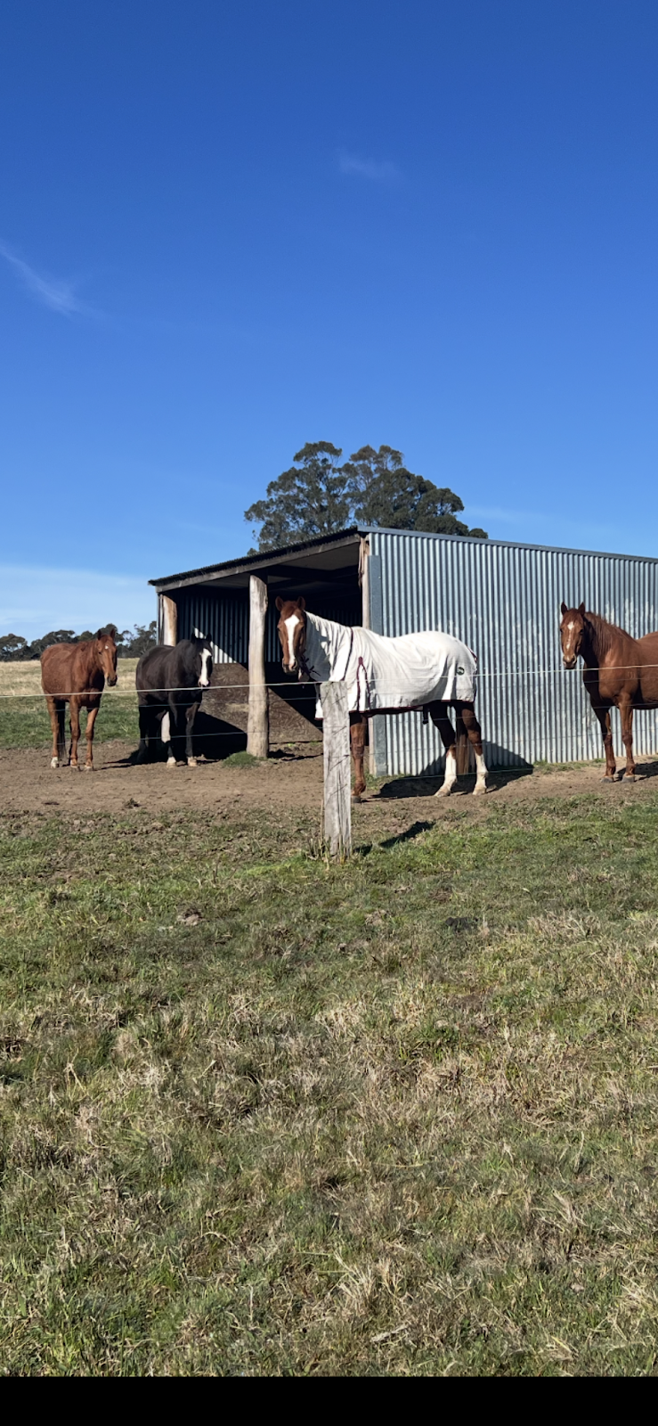 Fellowdale Farm | 62 Hayman Rd, Bundanoon NSW 2578, Australia | Phone: 0412 253 846