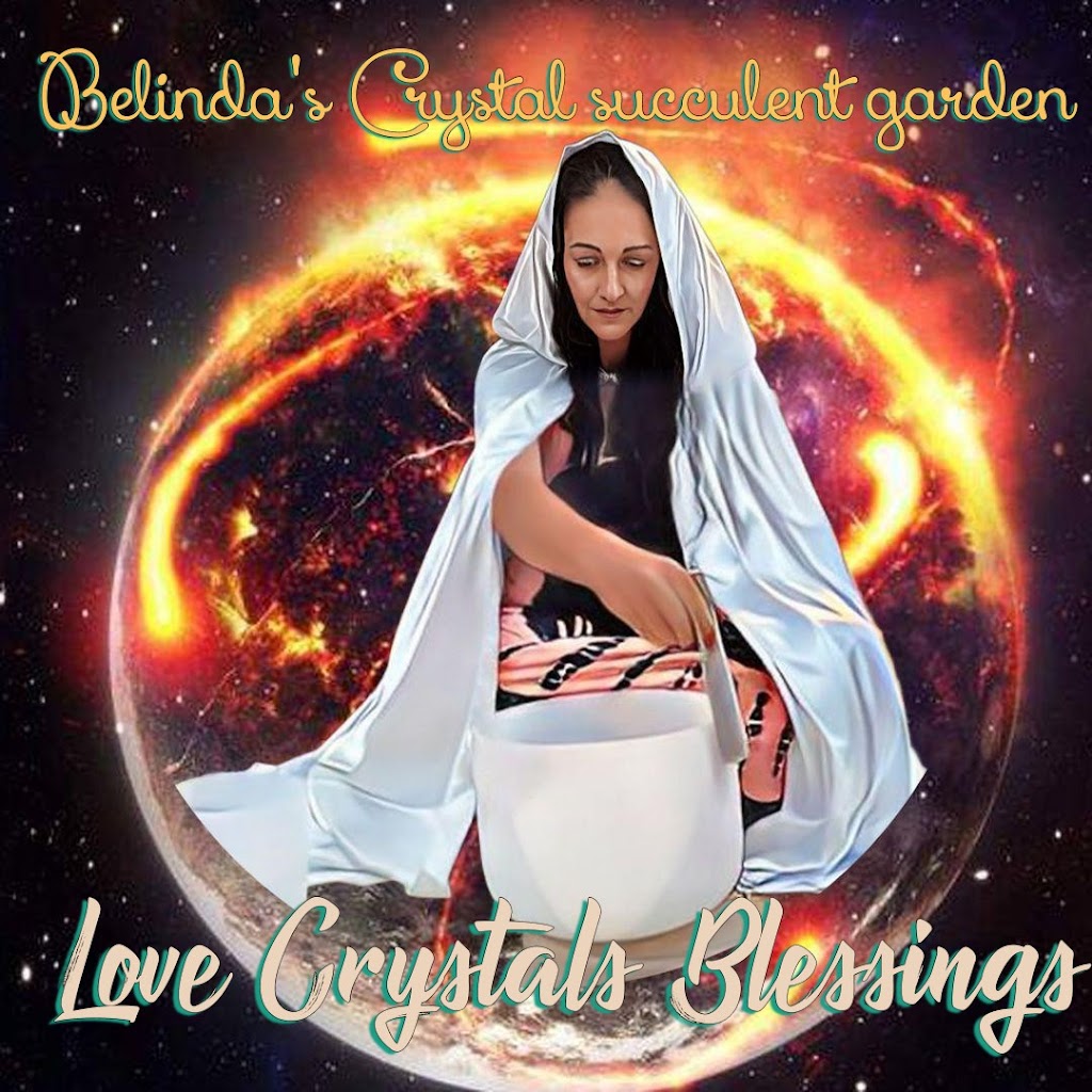 Belindas Crystal succulent garden | 1 Caparra Cl, Tinonee NSW 2430, Australia | Phone: 0455 869 322