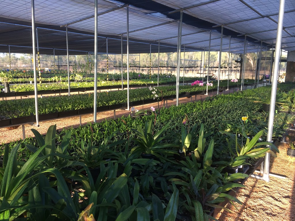 Sunnyview Orchids | 23 Slayton Rd, Jensen QLD 4818, Australia | Phone: 0438 831 971