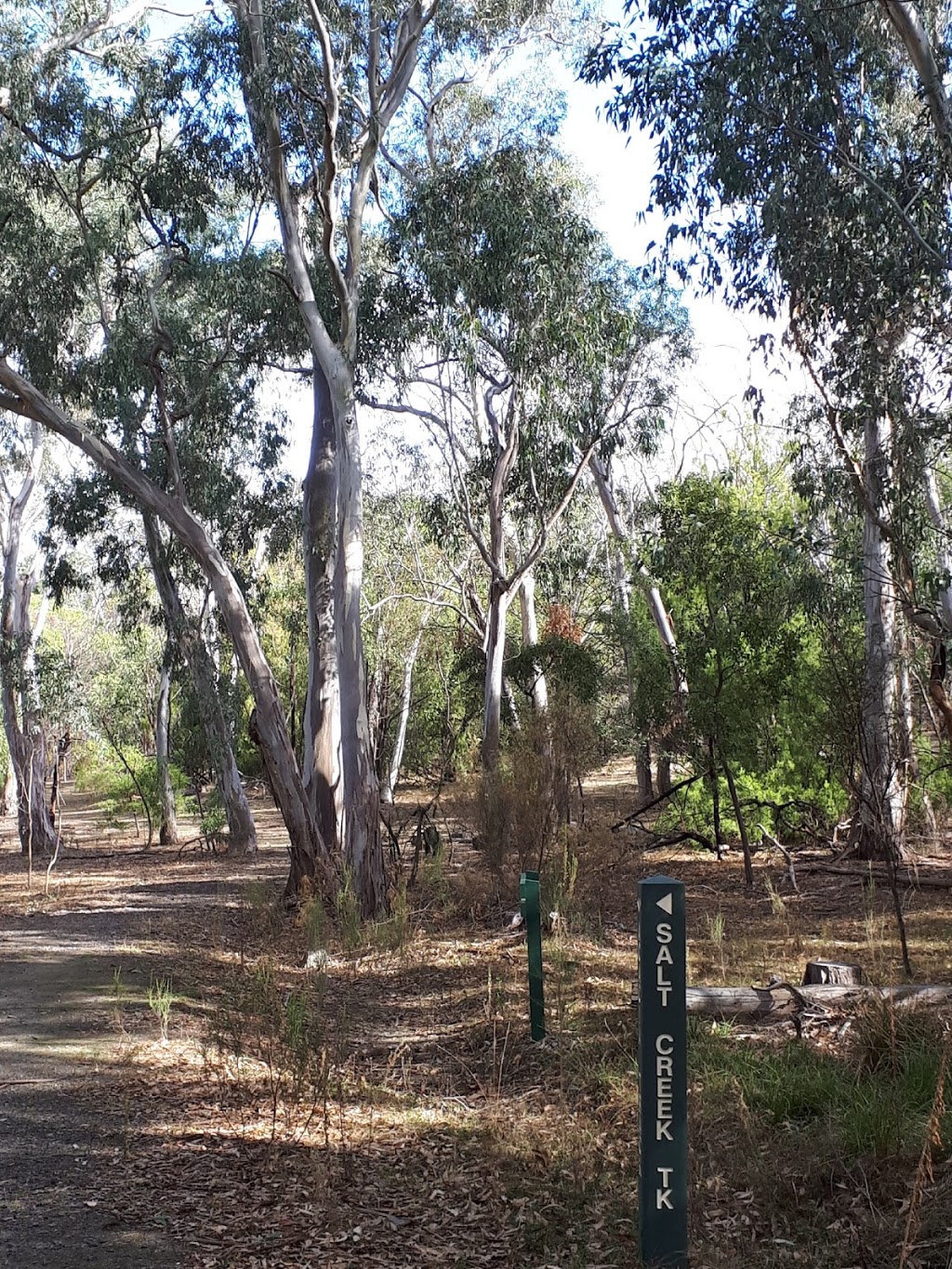 Gresswell Forest | park | Greenwood Dr, Bundoora VIC 3083, Australia | 131963 OR +61 131963