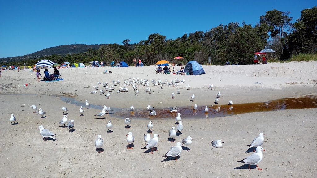 Rosebud Foreshore Playground | tourist attraction | Point Nepean Rd & Jetty Rd, Rosebud VIC 3939, Australia | 0359501000 OR +61 3 5950 1000