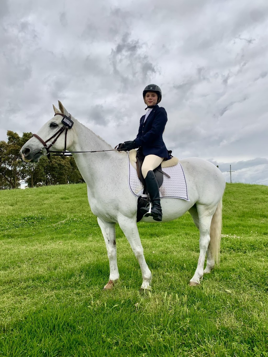 Whyld Equestrian Coaching | 6A Chiltern Rd, Ingleside NSW 2101, Australia | Phone: 0402 020 504