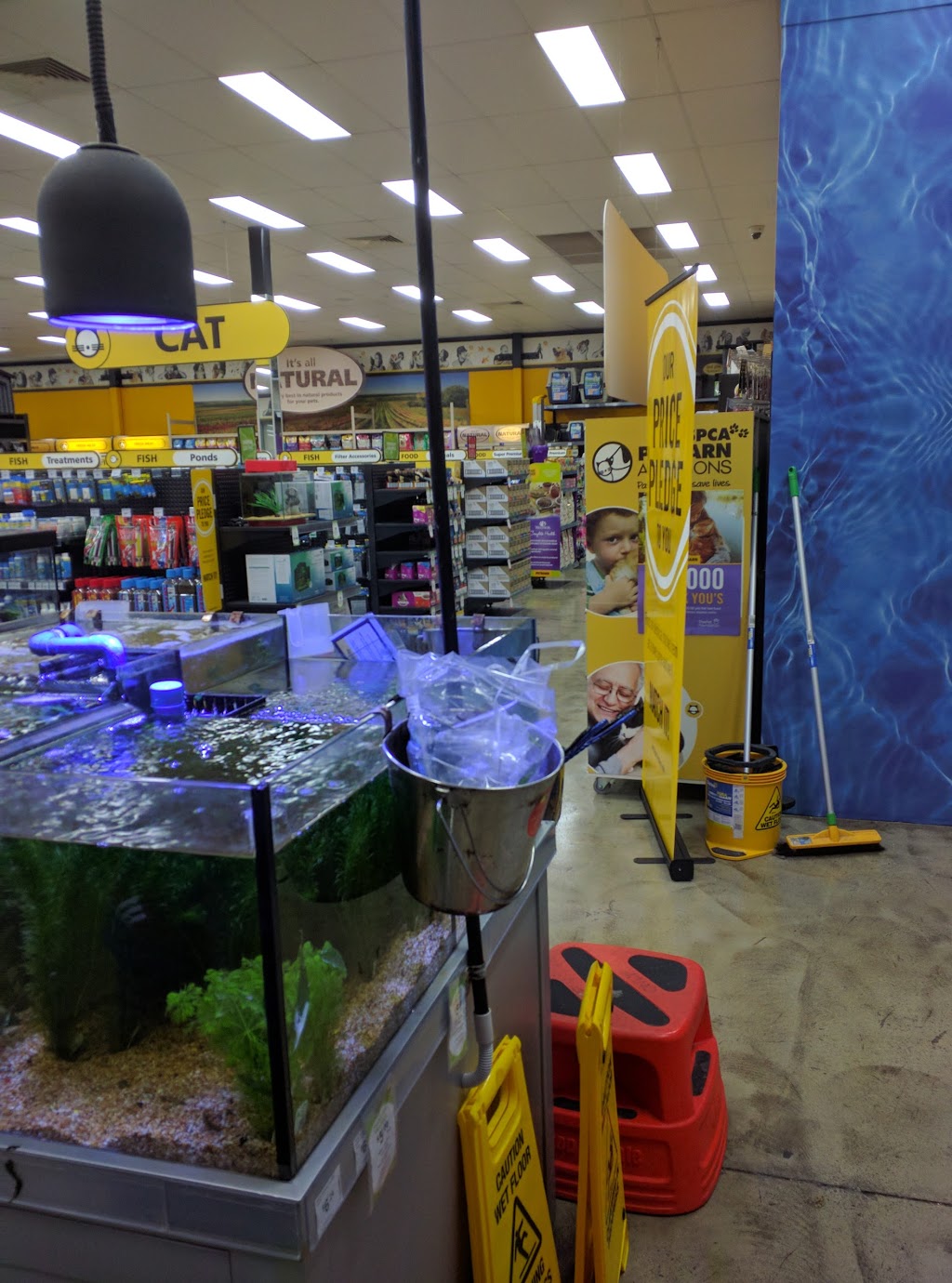 Petbarn Wynnum | pet store | b4/2021 Wynnum Rd, Wynnum West QLD 4178, Australia | 0731813205 OR +61 7 3181 3205