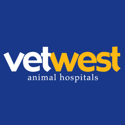 Vetwest Animal Hospitals Yokine | 162 Wanneroo Rd, Yokine WA 6060, Australia | Phone: (08) 9404 1100