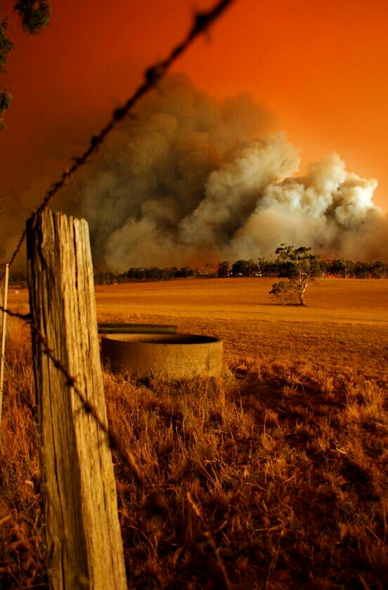 Black Saturday Bushfire Memorial | 1110 Whittlesea-Yea Rd, Kinglake West VIC 3757, Australia