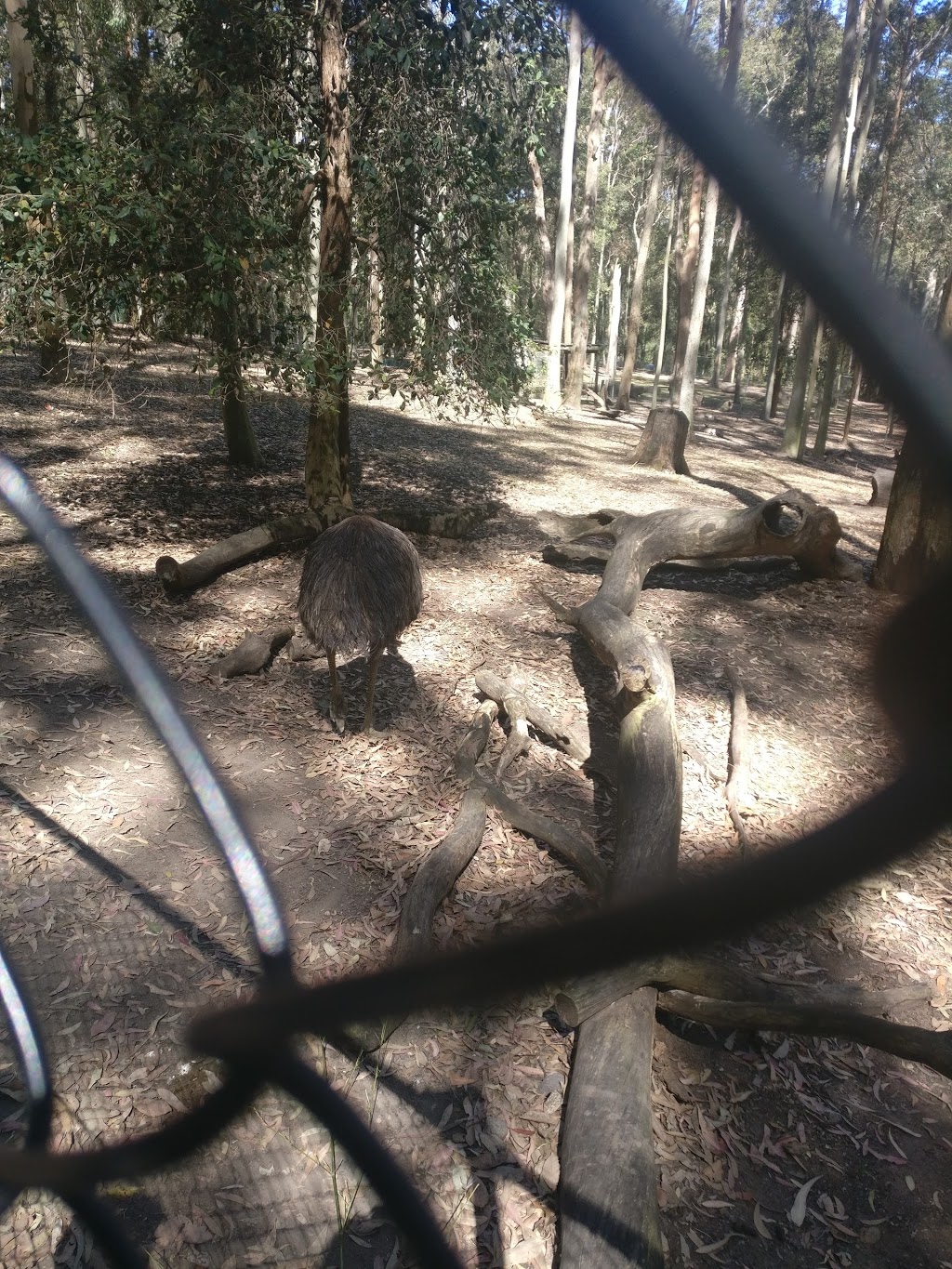 Blackbutt Reserve Entrance | zoo | 72 Carnley Ave, New Lambton NSW 2305, Australia