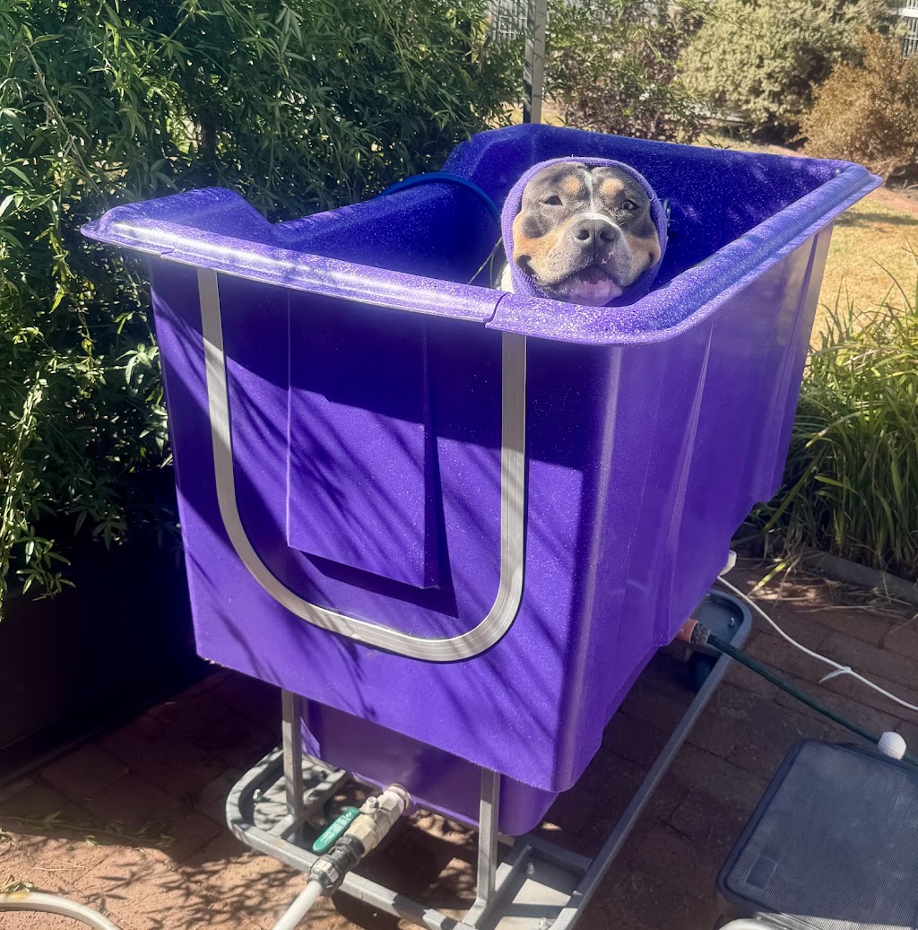 Perfect Paws Dog Spa - GV | 16 McFarlane Rd, Mooroopna VIC 3629, Australia | Phone: 0407 871 900