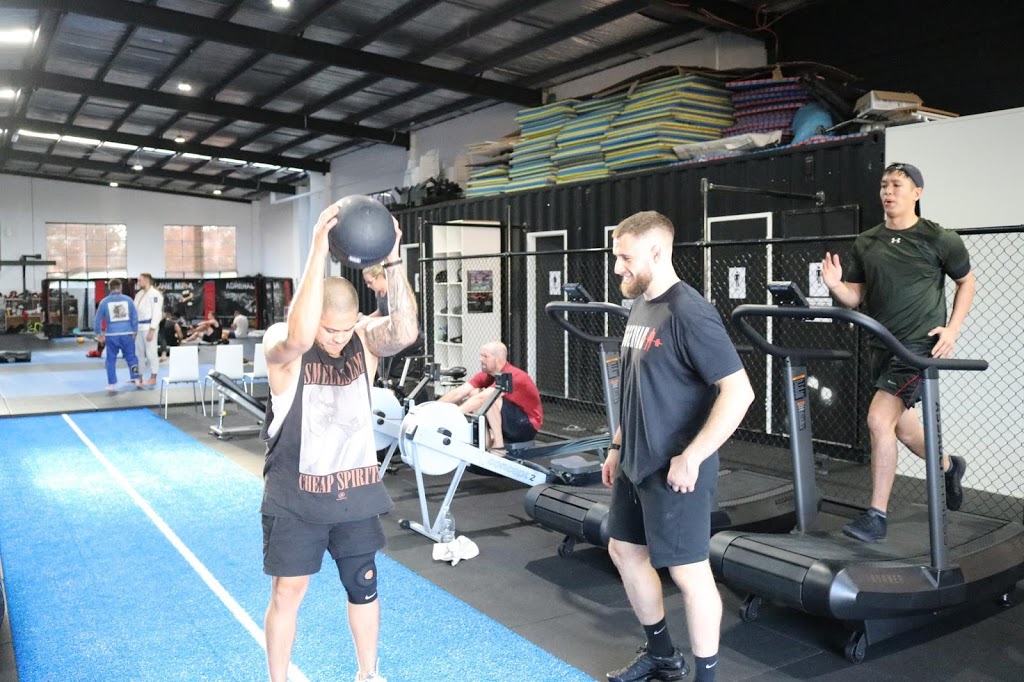 VIKING PERFORMANCE | health | 25 Taunton Dr, Cheltenham VIC 3192, Australia | 0434914338 OR +61 434 914 338