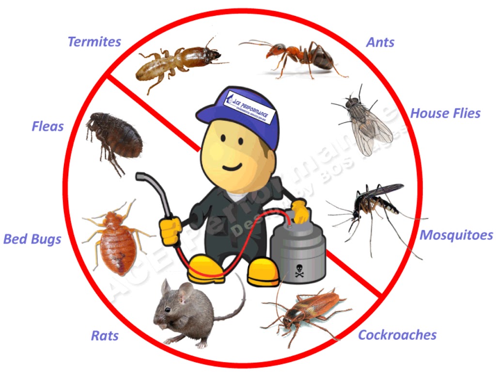 WA Pest Managers | home goods store | 6 Cornforth Way, Piara Waters WA 6112, Australia | 0404533441 OR +61 404 533 441
