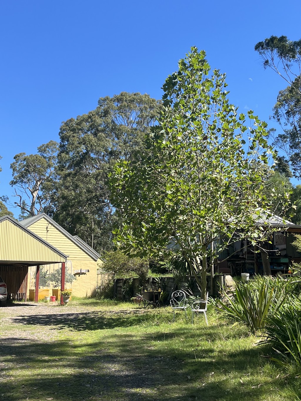 Karin Krueger Psychotherapy and Counselling (holistic practice) | 82 Pollwombra Rd, Moruya NSW 2537, Australia | Phone: 0419 991 267