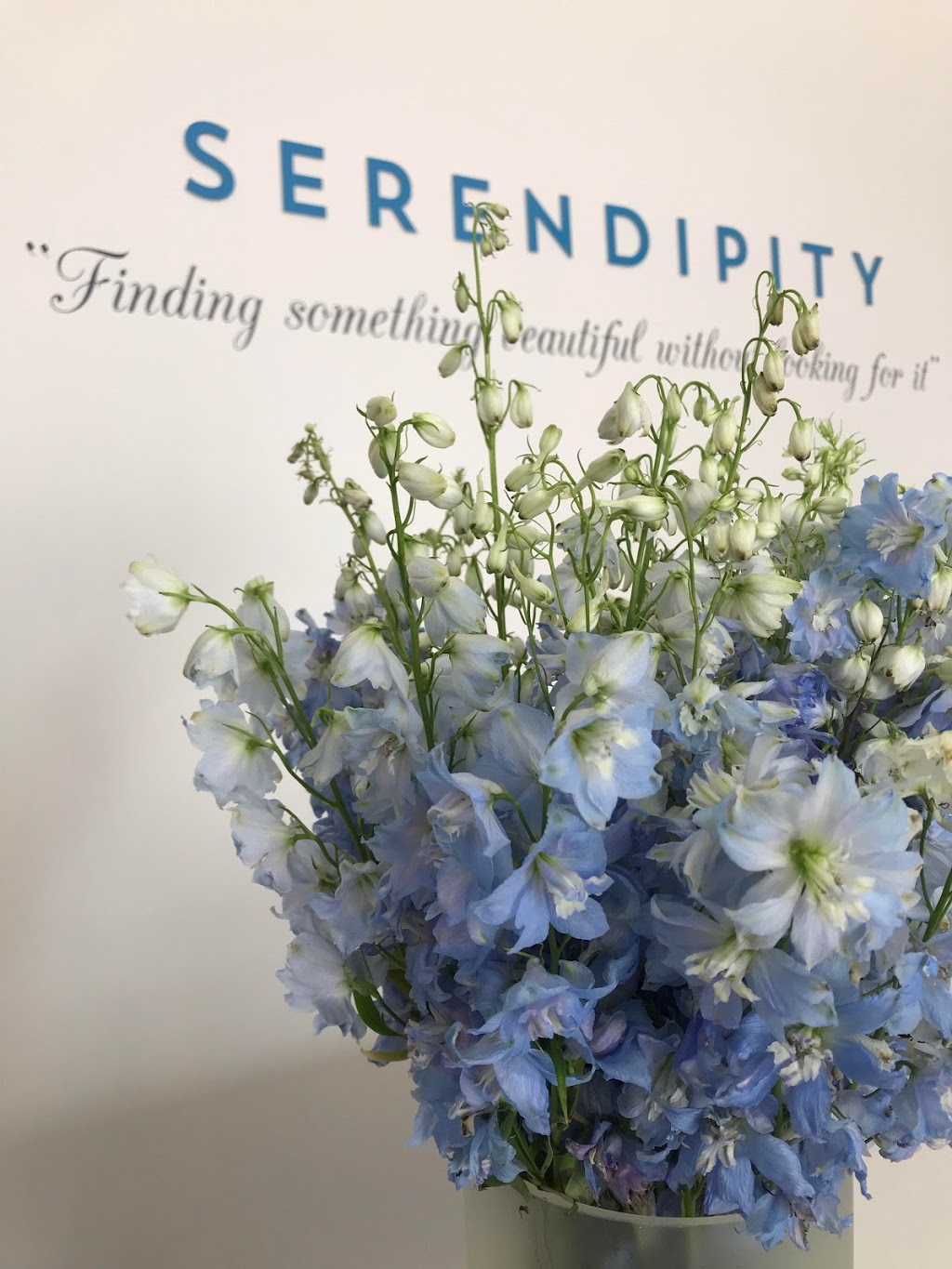 Serendipity Chic | clothing store | Shop 1/126 Hawksview St, Guildford NSW 2161, Australia | 0287721329 OR +61 2 8764 0205