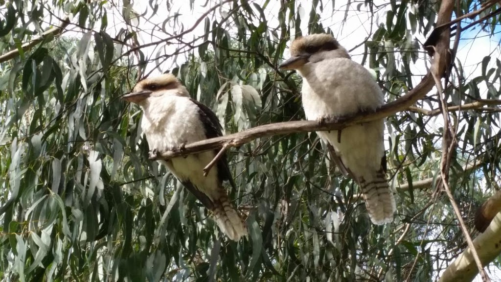 Birds Land Reserve | 271 Mt Morton Rd, Belgrave Heights VIC 3160, Australia