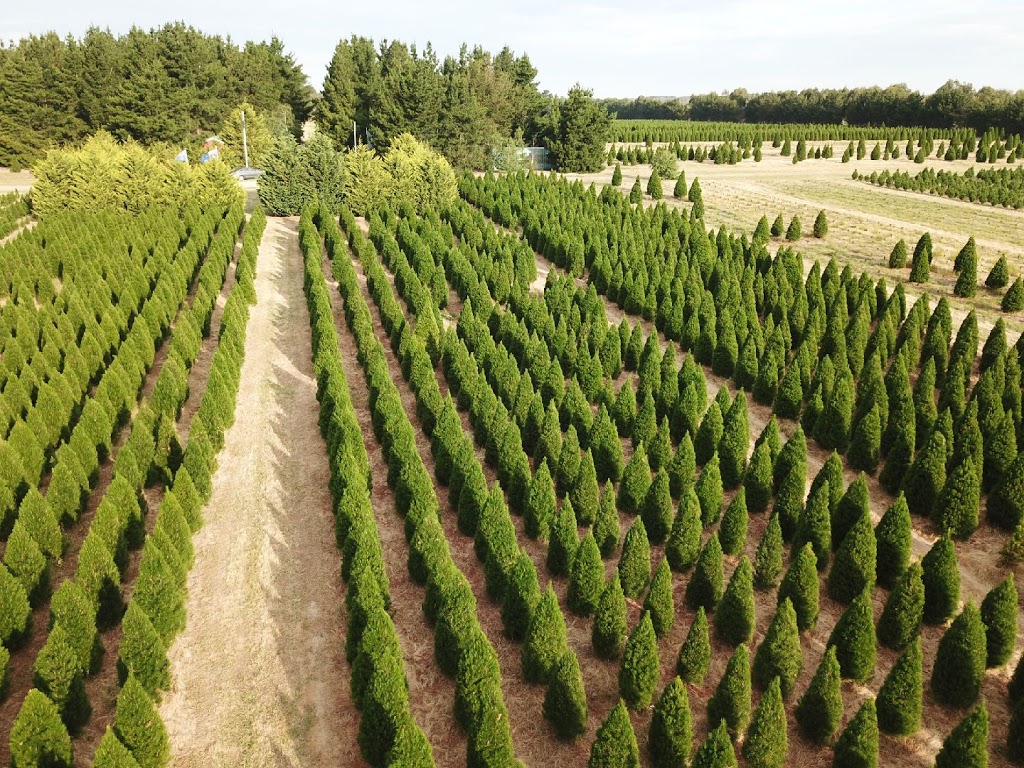 Christmas Tree Farm | 1680 Stumpy Gully Rd, Moorooduc VIC 3933, Australia | Phone: (03) 5977 5822