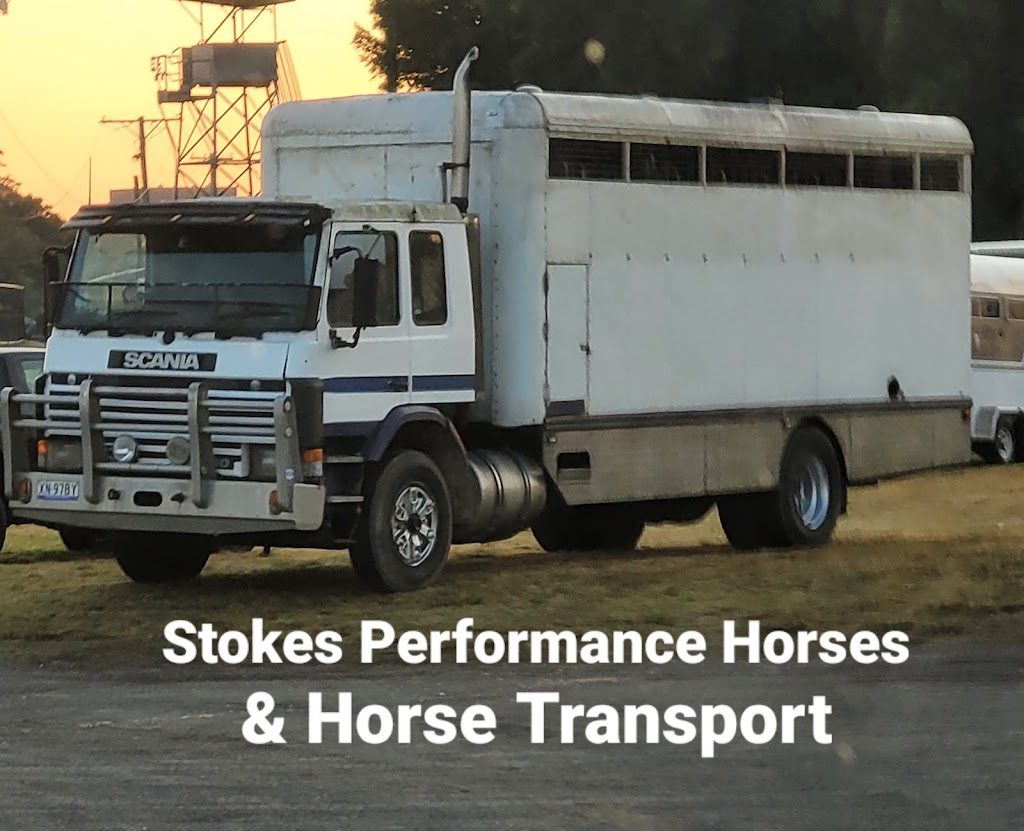 SPH Horse Transport Newcastle (Stokes Performance Horses) |  | 73, Medowie NSW 2318, Australia | 0429478736 OR +61 429 478 736