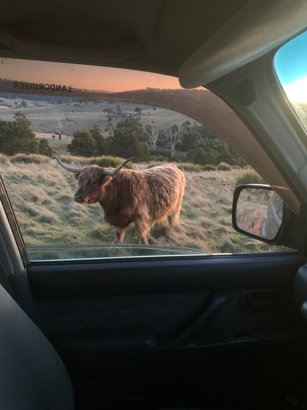 Eventide Sanctuary | 473 Sugarloaf Rd, Carlton River TAS 7173, Australia | Phone: 0456 748 170 Eventide Sanctuary | 473 Sugarloaf Rd, Carlton River TAS 7173, Australia | Phone: 0456 748 170