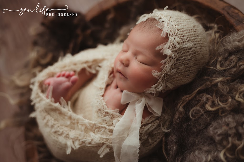 Zen Life Photography | 40 Carolyn St, Adamstown Heights NSW 2289, Australia | Phone: 0401 313 137
