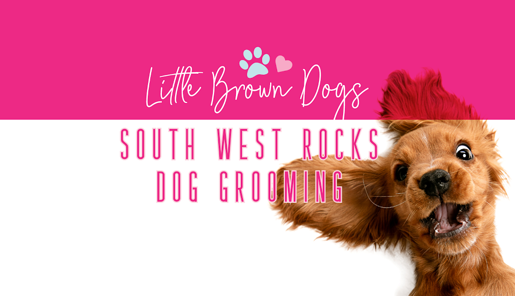 Little Brown Dogs SWR Dog Grooming |  | 19 Dilberang Cl, South West Rocks NSW 2431, Australia | 0439988918 OR +61 439 988 918