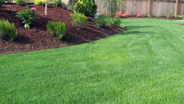 AAA LAWN AND GARDEN SERVICE |  | 31 Margaret St, Moe VIC 3825, Australia | 0478272779 OR +61 478 272 779