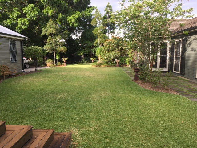 Lawn Guy - Total Lawn Care & Maintenance Aeration | 143 Hindes St, Lota QLD 4179, Australia | Phone: 0419 016 747