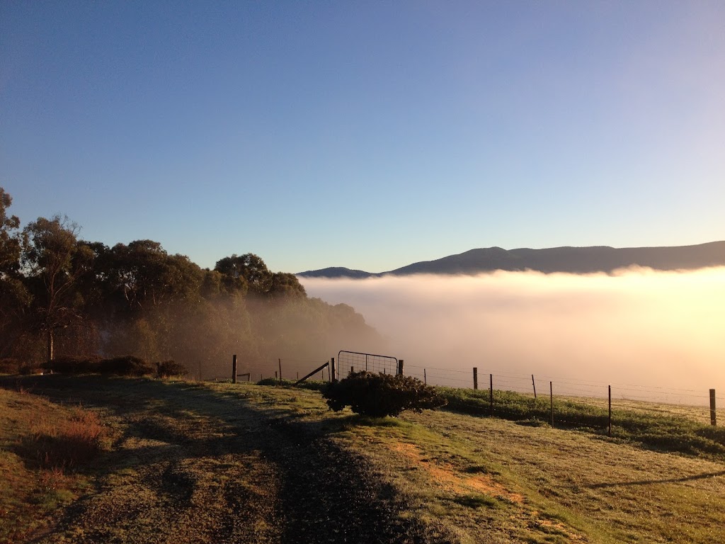 Hoddles Creek Garlic | 485 Lusatia Park Rd, Hoddles Creek VIC 3139, Australia | Phone: 0428 547 161