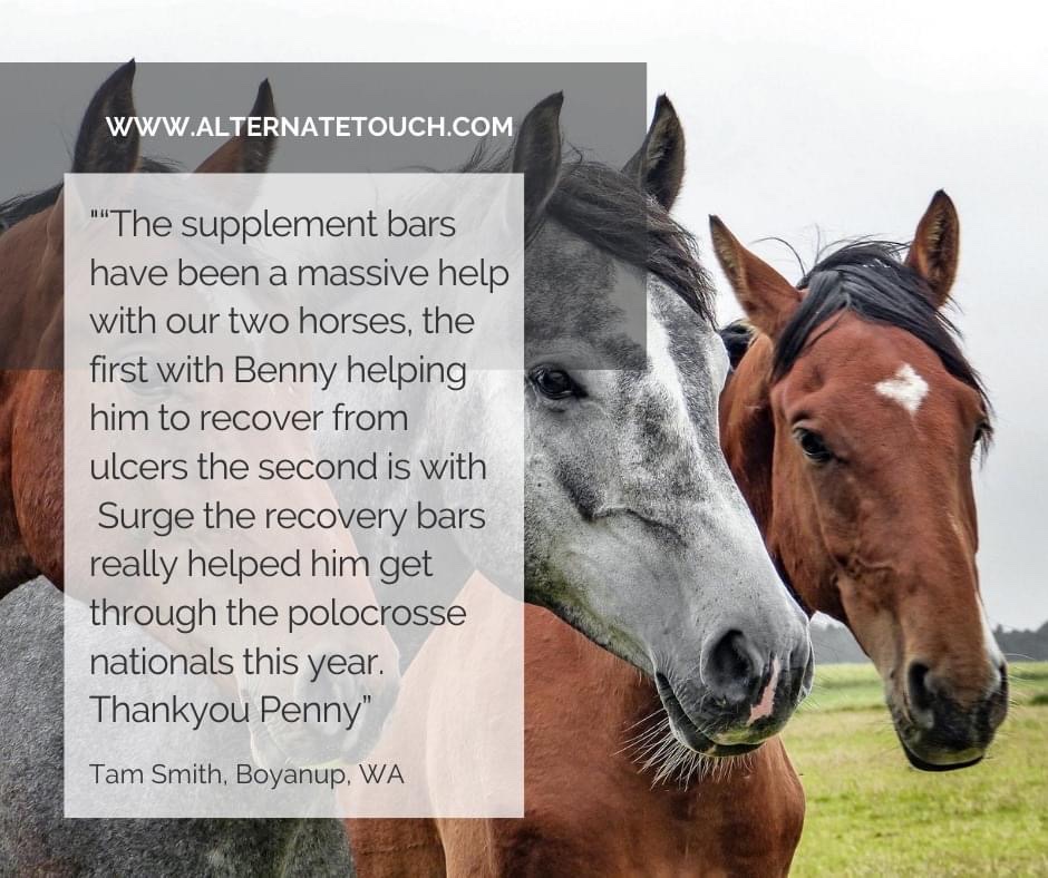 Alternate Touch Equine Supplement Specialists | store | 90 Lakelands Rd, Barragup WA 6209, Australia | 0457169536 OR +61 457 169 536