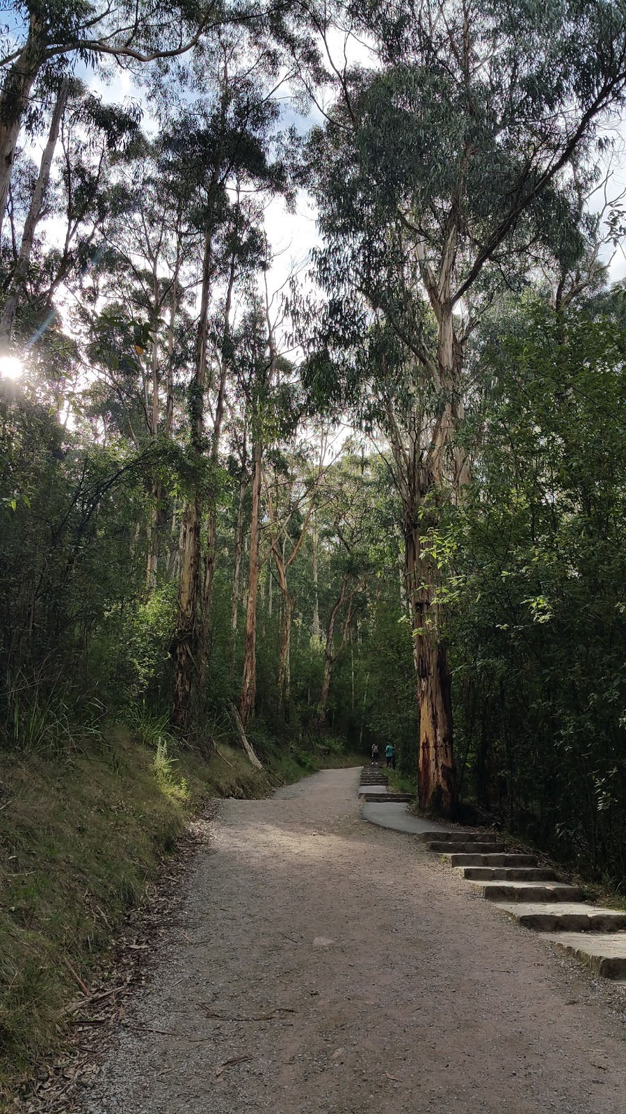 1000 Steps Carpark | parking | Dandenong Ranges National Park, Mount Dandenong Tourist Rd, Ferny Creek VIC 3786, Australia | 131963 OR +61 131963