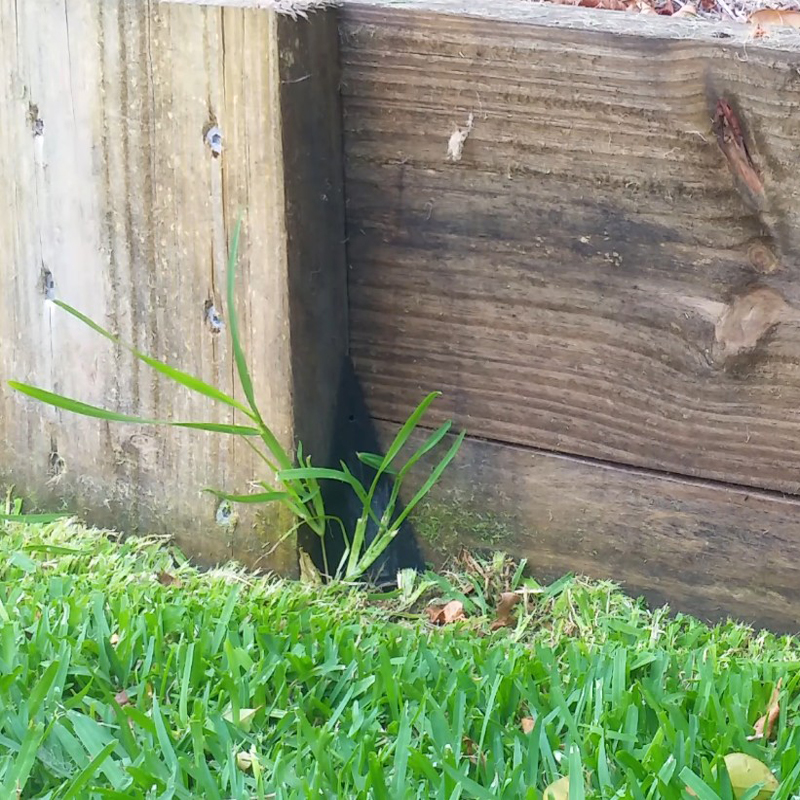 EzySNIP The Little Garden Tool For Perfectly Trimmed Lawn Edges! | Biscayne Dr, Coolum Beach QLD 4573, Australia | Phone: 0414 418 216