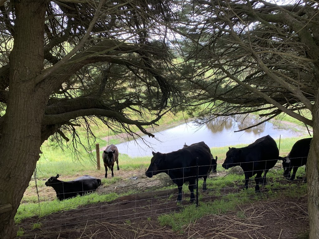 Hopwood Estate | 140 Korumburra-Warragul Rd, Korumburra VIC 3950, Australia | Phone: 0407 285 285