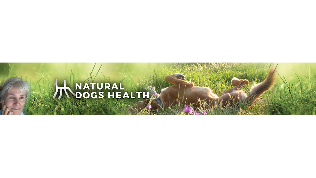 Natural Dogs Health | 131 Loton Rd, Millendon WA 6056, Australia | Phone: (08) 9296 0152