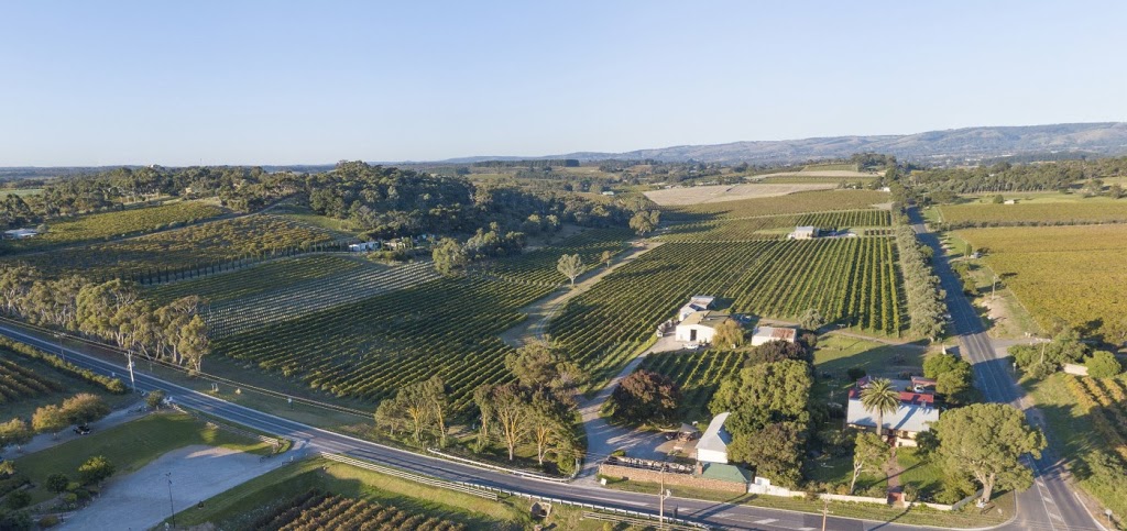 Angove McLaren Vale Vineyards and Cellar Door | 117 Chalk Hill Rd, McLaren Vale SA 5171, Australia | Phone: (08) 8323 6900