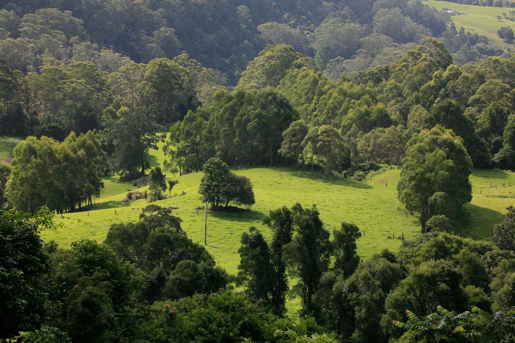 Willabrook Retreat | 30 Parrishs Rd, Kangaroo Valley NSW 2577, Australia | Phone: (02) 4465 1300