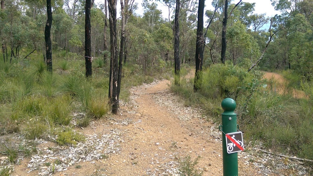 Black Cockatoo Reserve | 1750 Jarrah Rd, Mundaring WA 6073, Australia