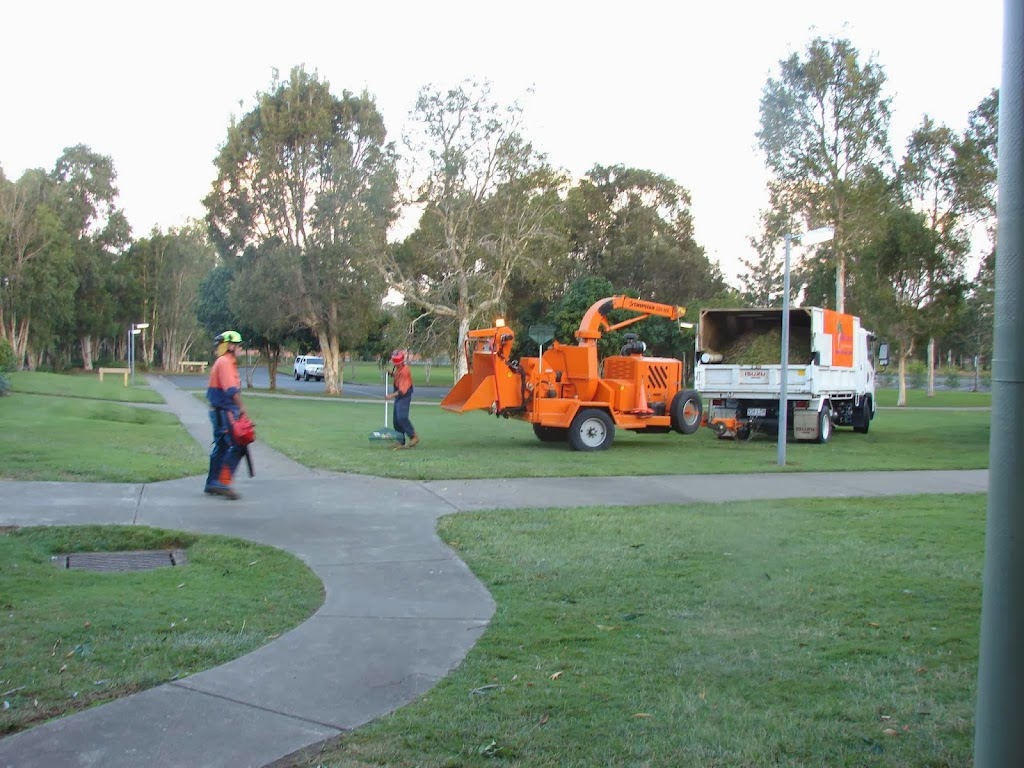 AllRound Tree Services | Whitepatch Esplanard, Bribie Island QLD 4507, Australia | Phone: 0476 377 995